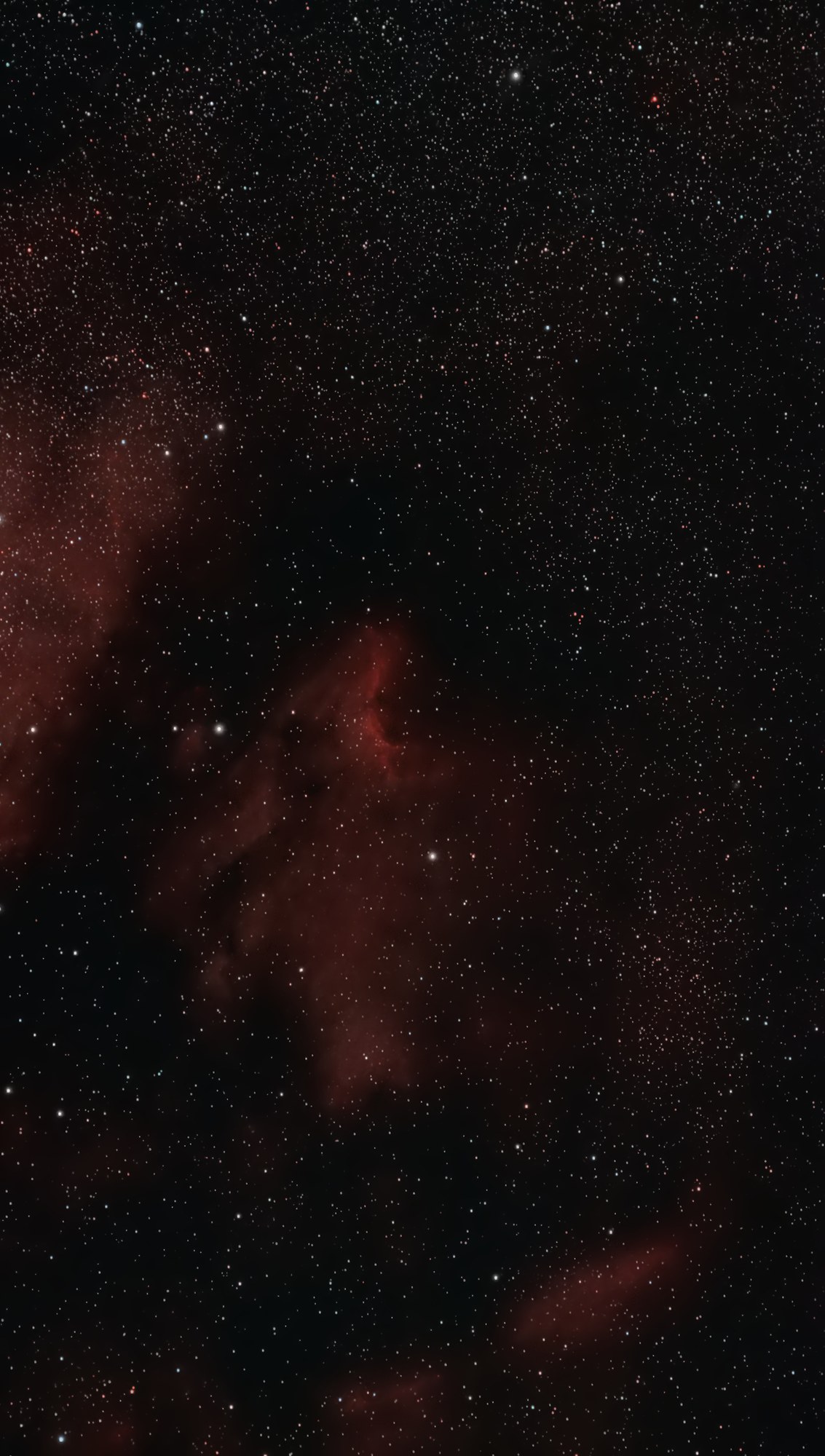 The Pelican Nebula, processed in Akastroid by one of its users